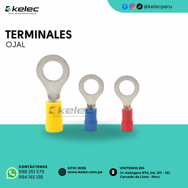 TERMINALES OJAL