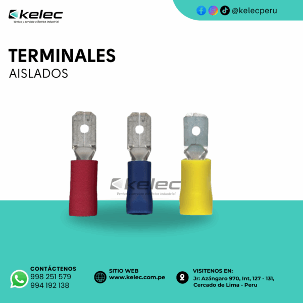 TERMINALES AISLADOS