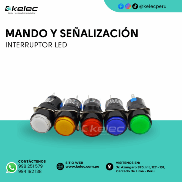 INTERRUPTOR LED