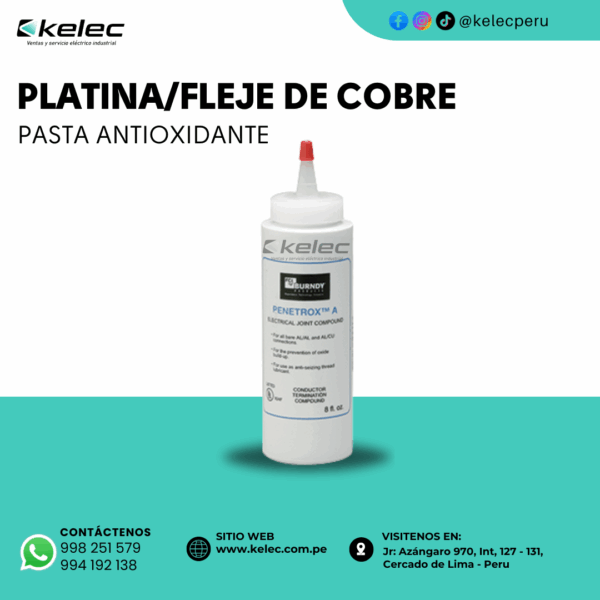 PASTA ANTIOXIDANTE