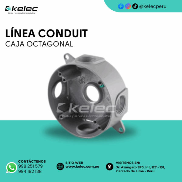 CAJA OCTAGONAL